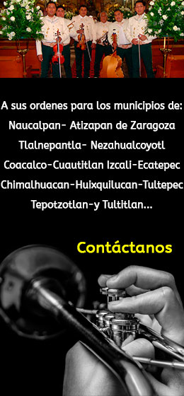 Contacto